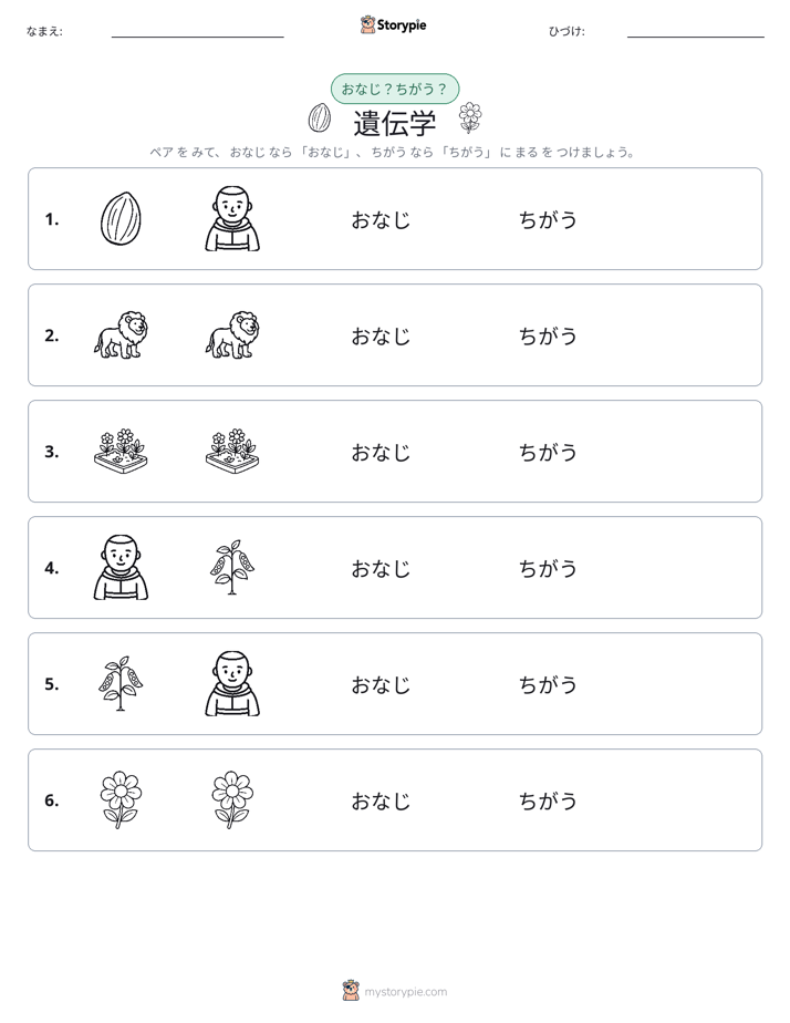 同じか違うか