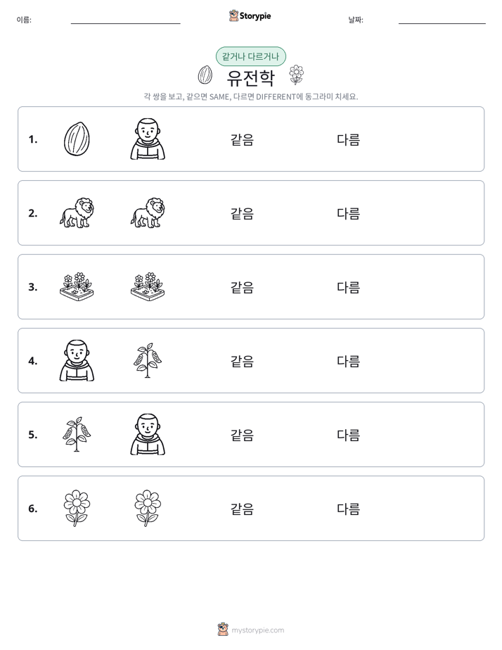 같은 것 또는 다른 것