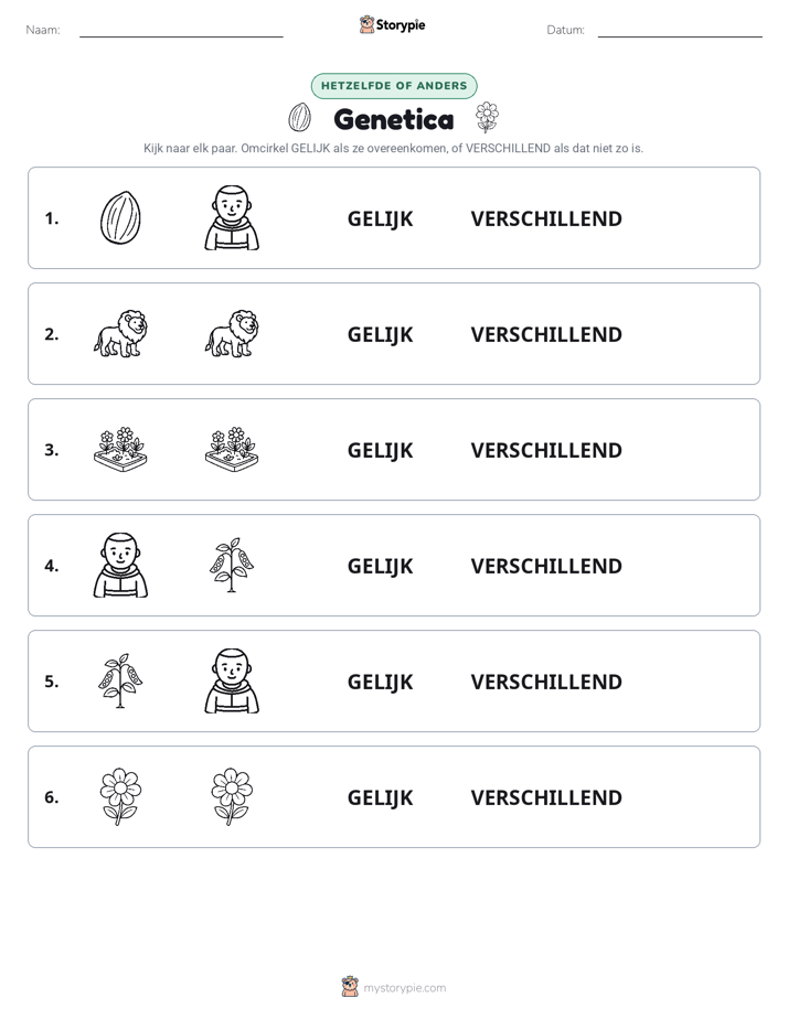 Zelfde of Verschillend