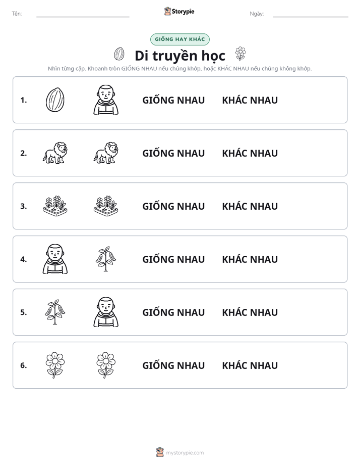 Giống Hay Khác