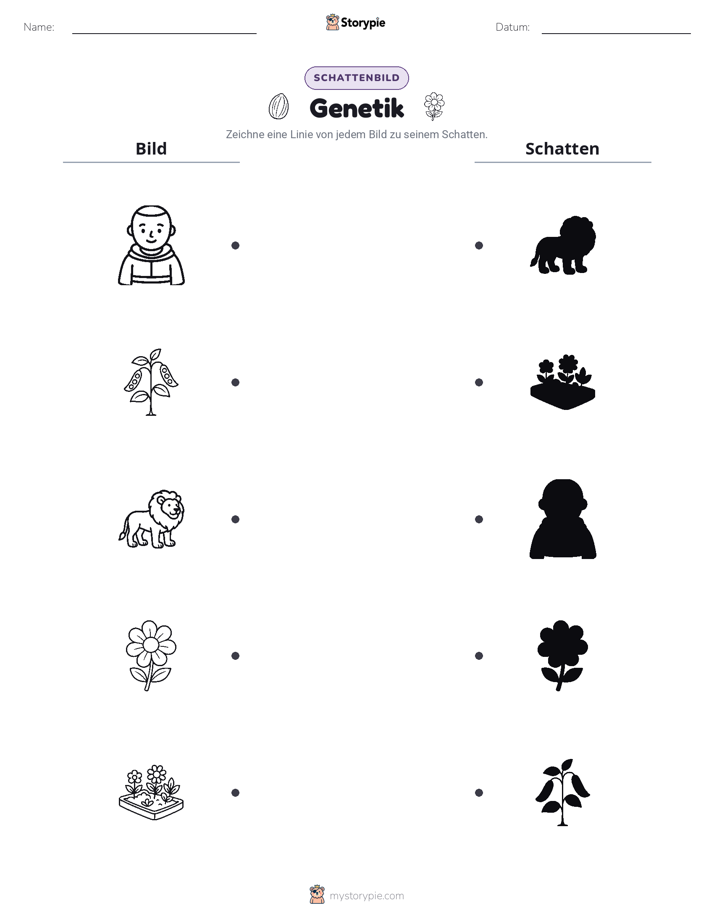 Schattenmatch