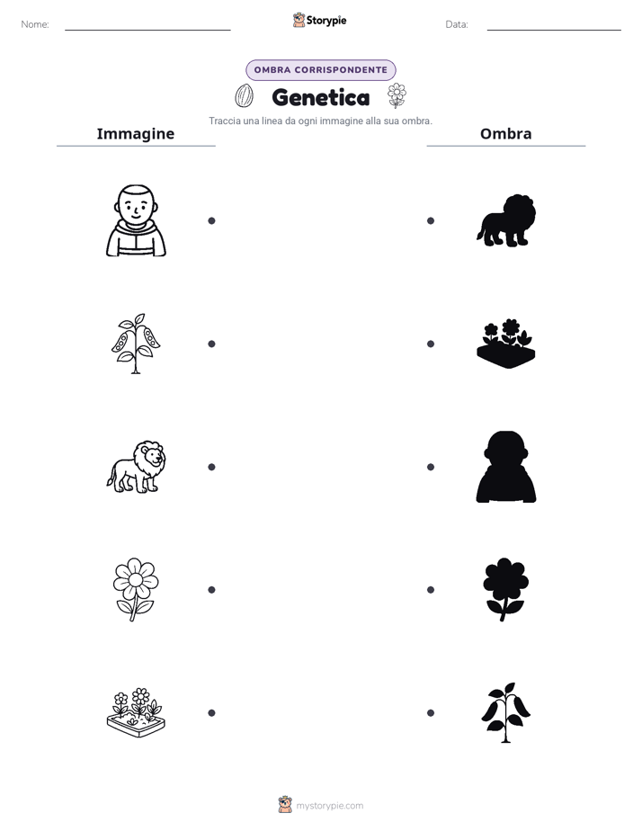 Corrispondenza Ombra