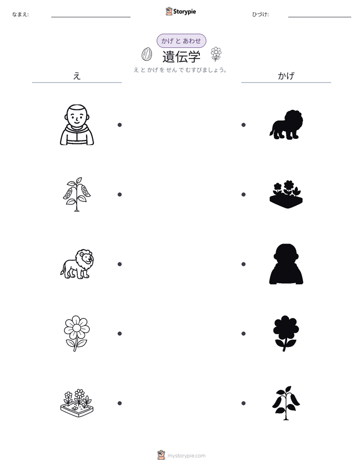 シャドウマッチ