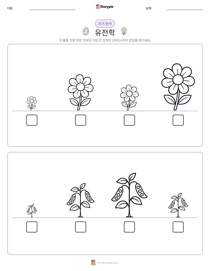 크기 순서