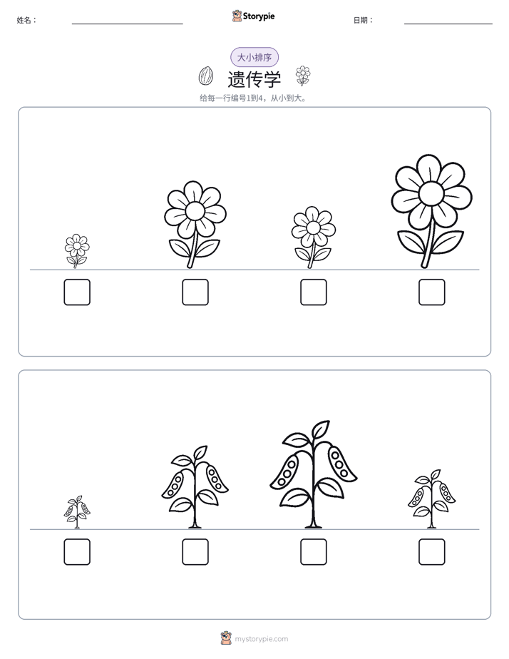 大小排序