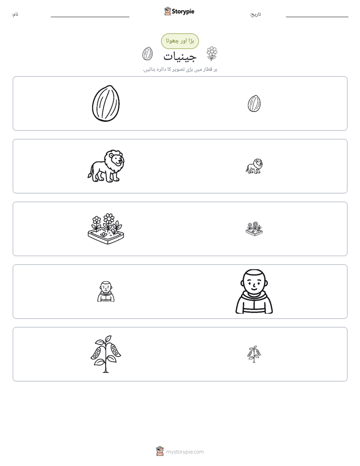 ترتیب دینا