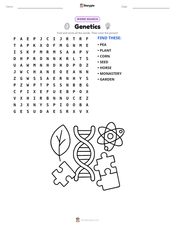 Word Search