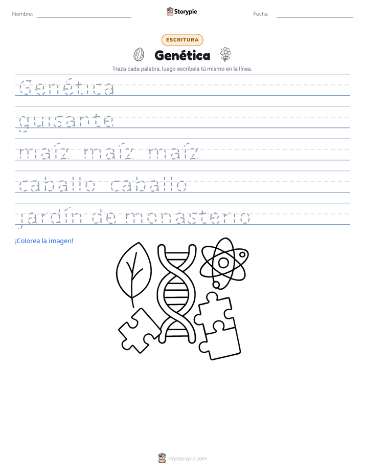 Práctica de Escritura