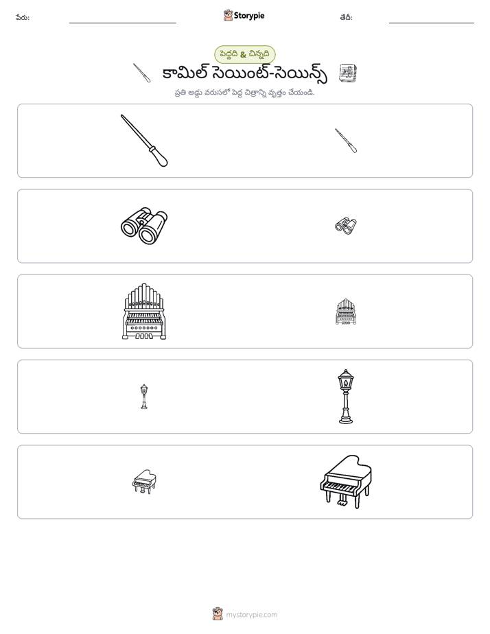 వర్గీకరణ