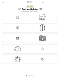 Fact vs. Opinion printable worksheet preview