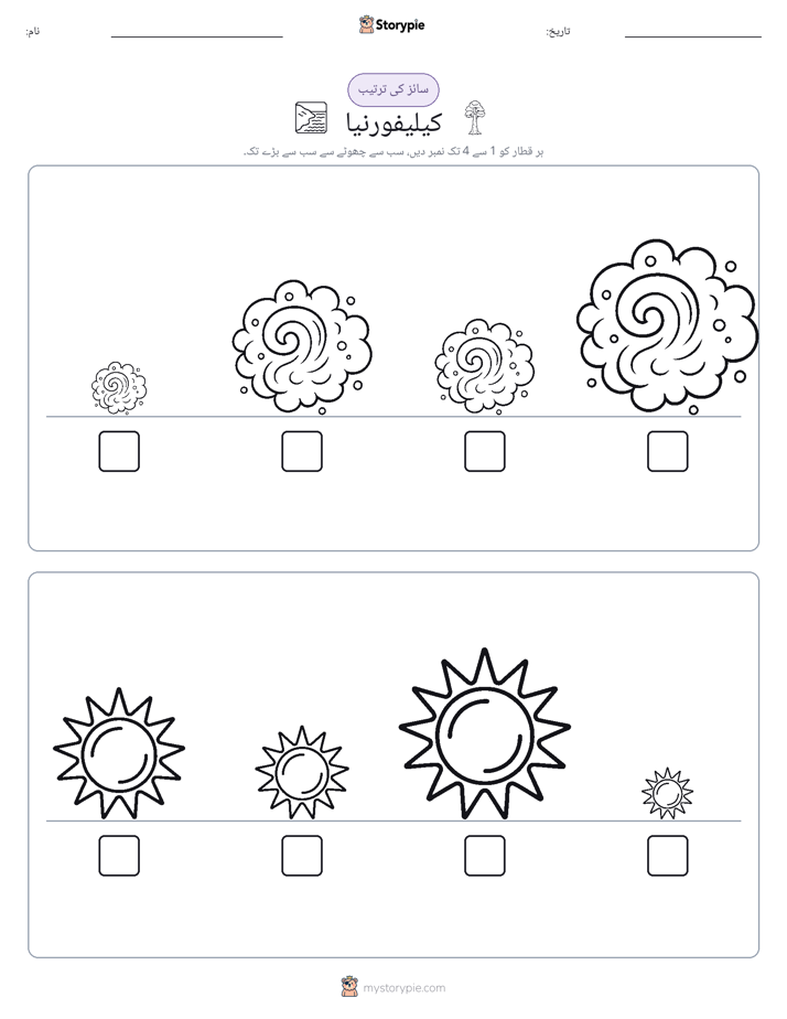سائز کی ترتیب