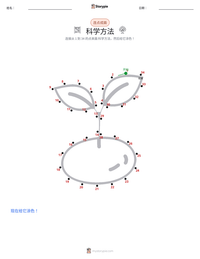 科学方法 可打印工作表预览