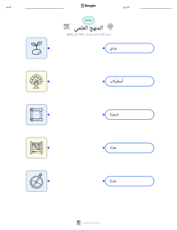معاينة ورقة العمل القابلة للطباعة المنهج العلمي