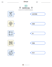 科学方法 可打印工作表预览