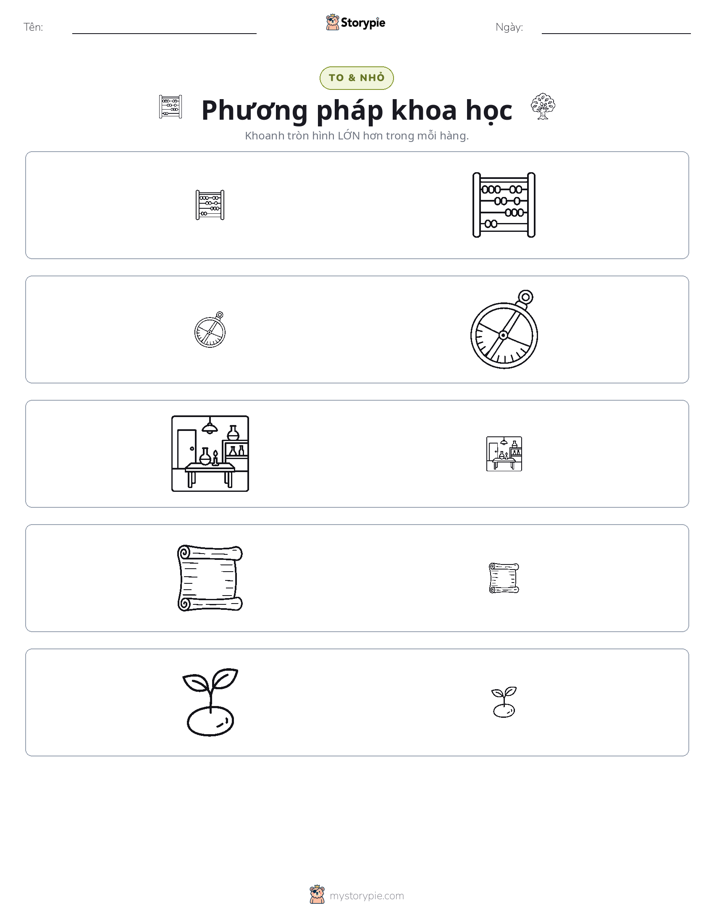 Phân Loại