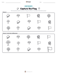 Capture the Flag printable worksheet preview
