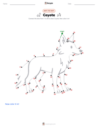 Coyote printable worksheet preview