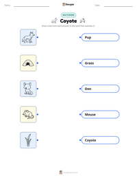 Coyote printable worksheet for kids