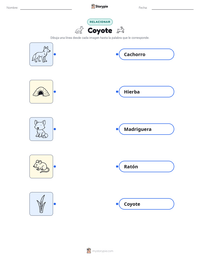 Hoja de trabajo imprimible de Coyote para niños