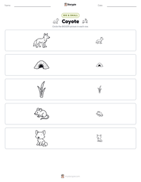 Coyote printable worksheet preview