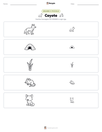 Anteprima della scheda stampabile di Coyote