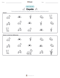 Coyote printable worksheet preview