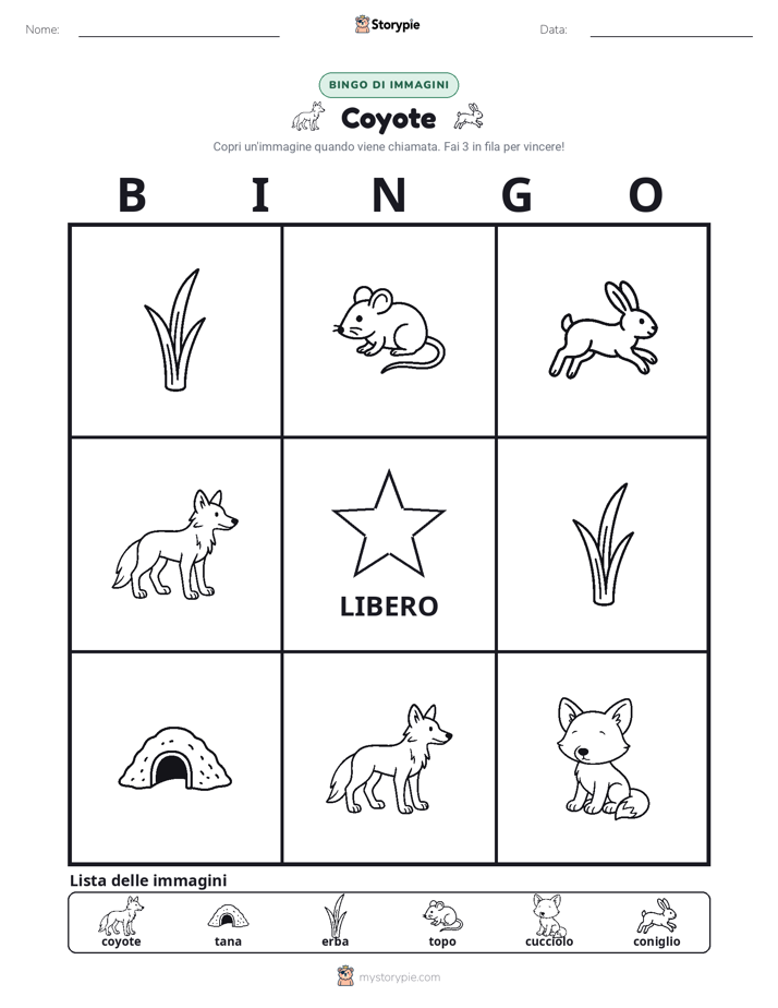 Bingo delle Immagini