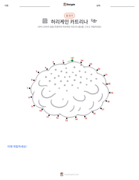 허리케인 카트리나 인쇄 가능한 워크시트 미리보기