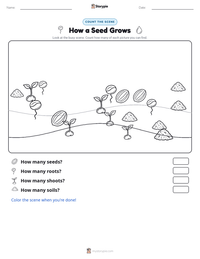 How a Seed Grows printable worksheet preview