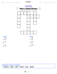 How a Seed Grows printable worksheet preview