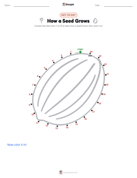 How a Seed Grows printable worksheet preview