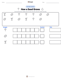 How a Seed Grows printable worksheet preview