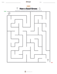 How a Seed Grows printable worksheet preview