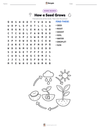 How a Seed Grows printable worksheet preview