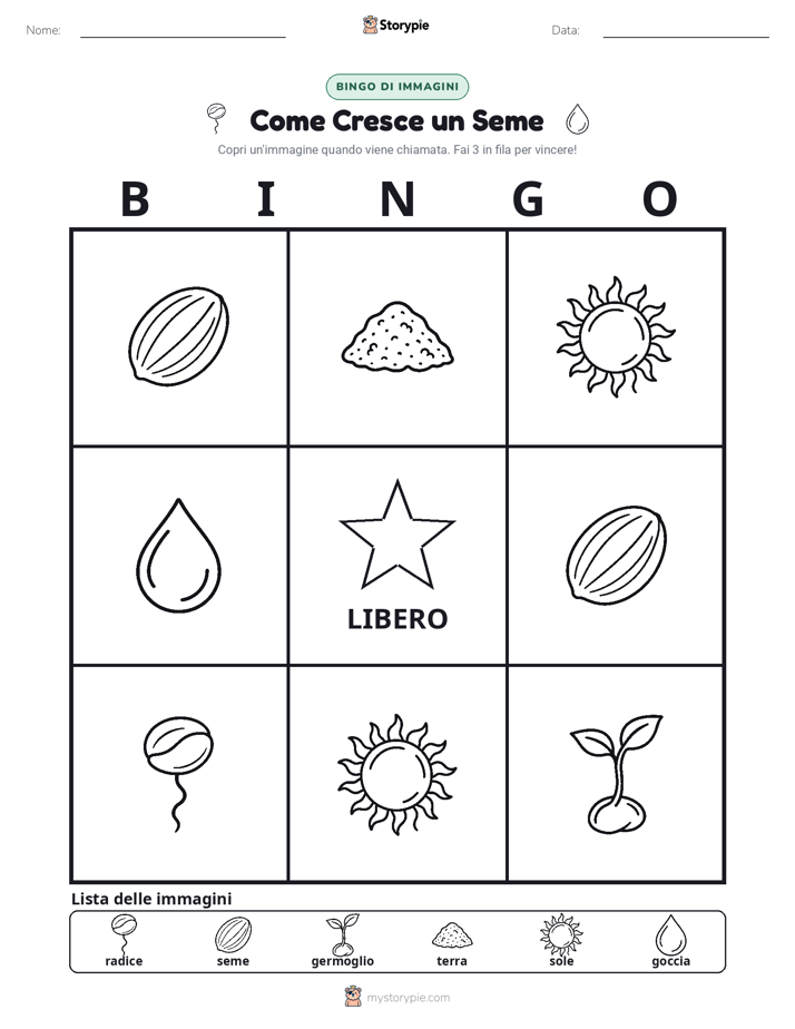 Bingo delle Immagini