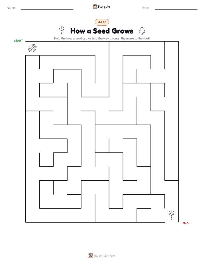 Maze