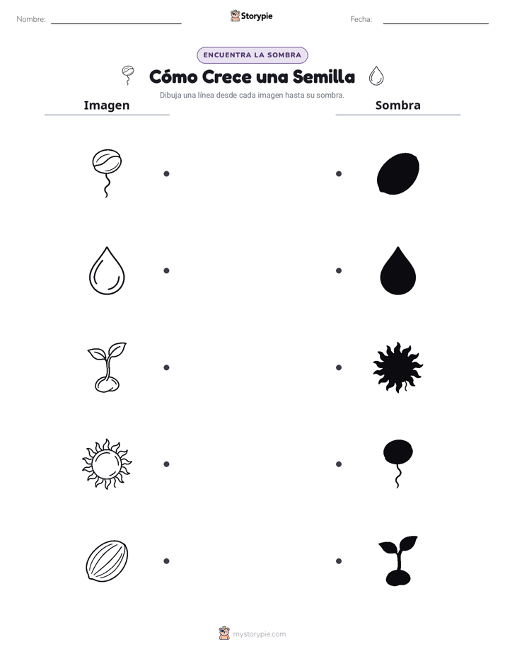 Coincidencia de Sombras