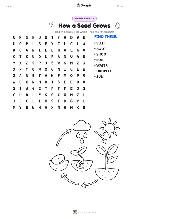 Word Search