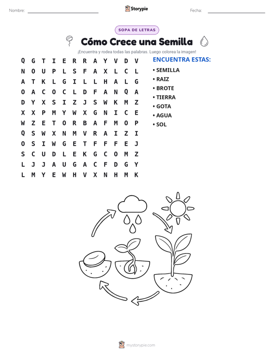 Sopa de Letras