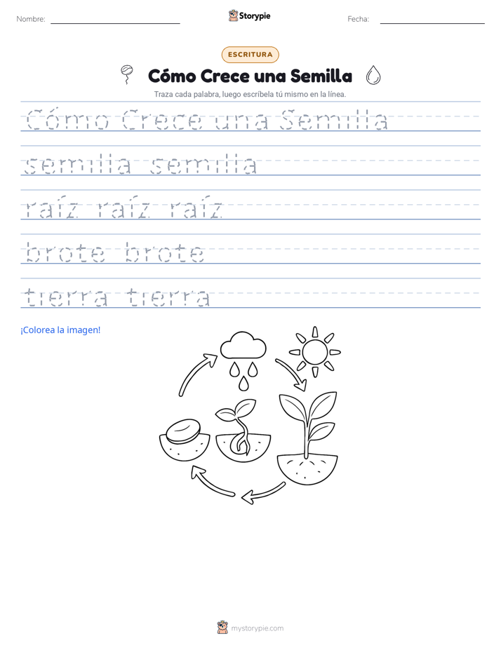 Práctica de Escritura