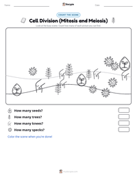 Cell Division (Mitosis and Meiosis) printable worksheet preview