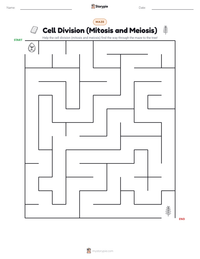 Cell Division (Mitosis and Meiosis) printable worksheet preview