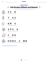 Cell Division (Mitosis and Meiosis) printable worksheet preview