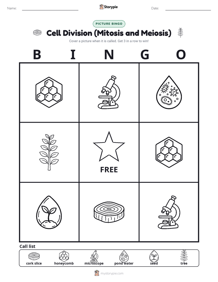 Picture Bingo