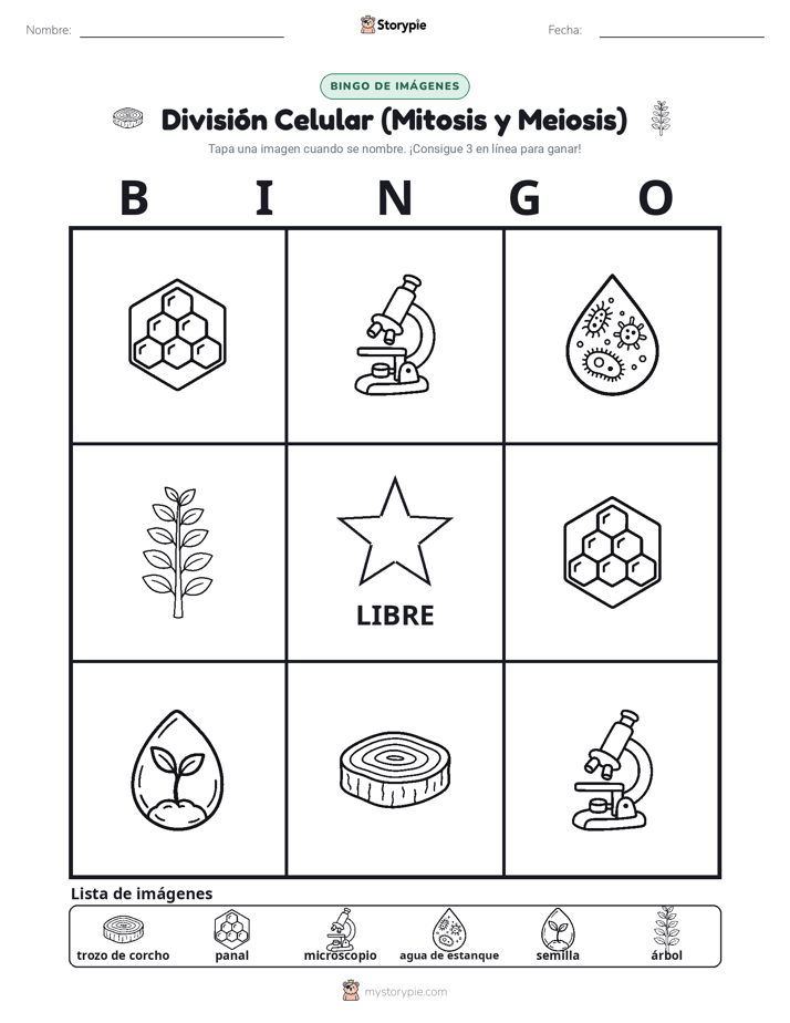 Bingo de Imágenes