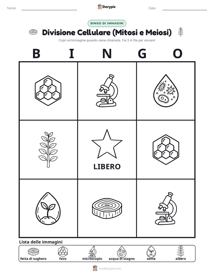 Bingo delle Immagini