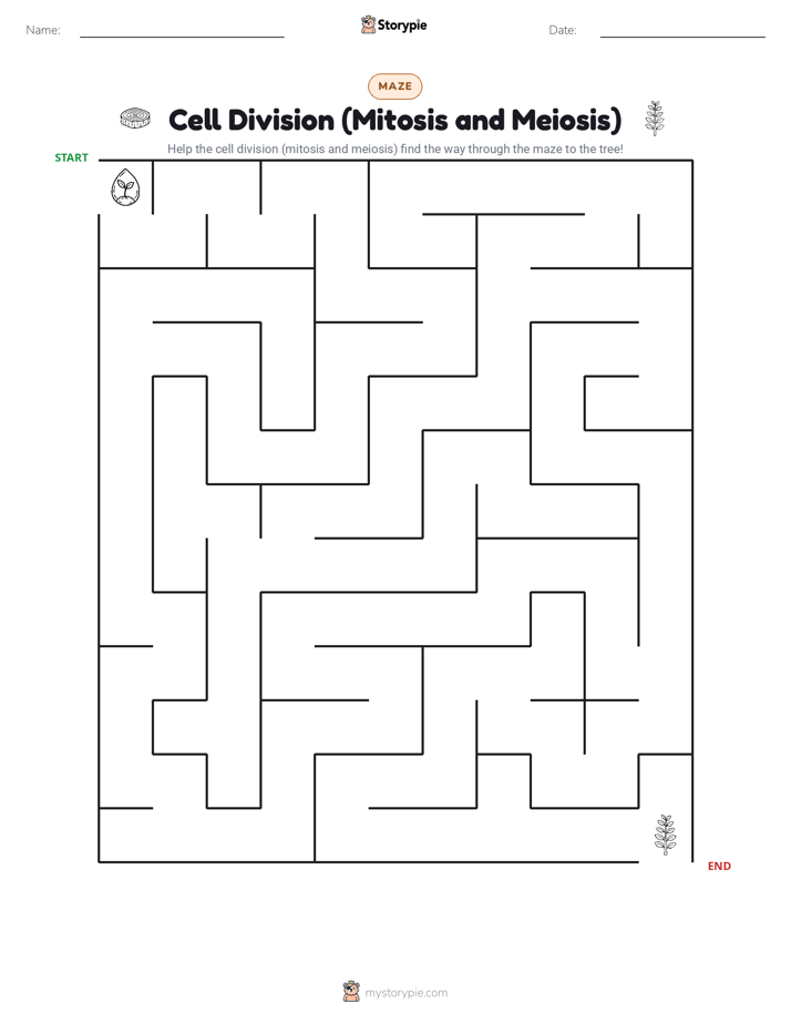 Maze