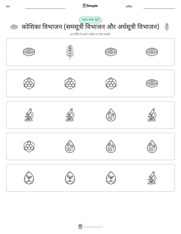 अजीब एक बाहर