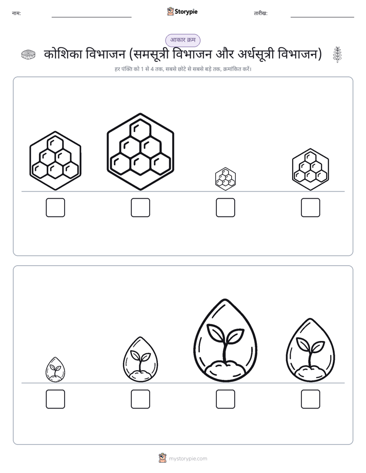 आकार क्रम