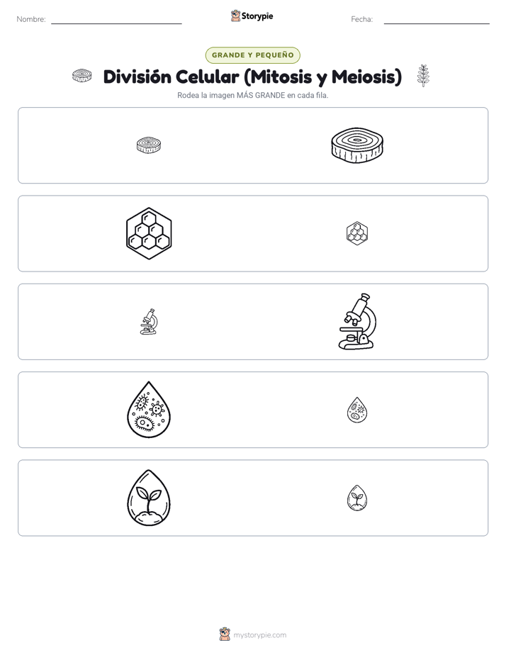 Clasificación